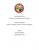 Hidrógeno, Oxigeno y Peróxido de hidrógeno