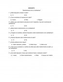 Elecion de la economia