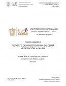 Reporte de investigación de flora y fauna