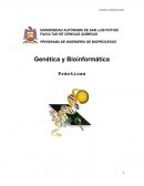 PROGRAMA DE INGENIERÍA DE BIOPROCESOS Genética y Bioinformática Prácticas