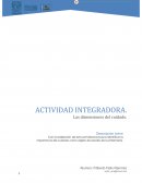 Dimensiones del cuidado