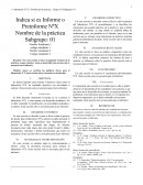 Indica si es Informe o Preinforme NºX