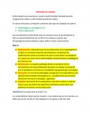 Displasia de cadera. INCIDENCIA es mayor para la mujer 3 a 1