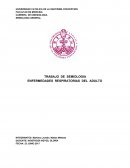 TRABAJO DE SEMIOLOGIA ENFERMEDADES RESPIRATORIAS DEL ADULTO