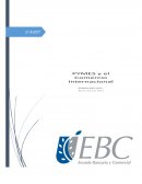 PYMES y el comercio Internacional
