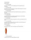 TIPOS DE MUSCULOS SEGÚN SU FORMA