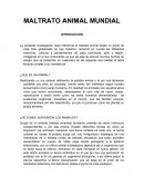 MALTRATO ANIMAL MUNDIAL ANTEPROYECTO