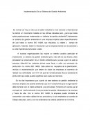 Implementación De un Sistema de Gestión Ambiental