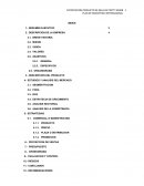 MERCADOTECNIA RESUMEN EJECUTIVO