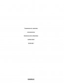 Tratamiento de materiales. Resistencia de los Materiales