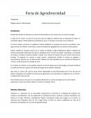 Guia de Agrodiversidad: Origen de las plantas y sus usos