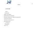 Reseña Histórica de la Empresa5 Resultados obtenidos en el Trabajo de consultoría6-10