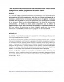 Caracterización de una proteína que interviene en la formación de agregados en células ganglionares de nervio óptico