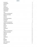 Composición de los alimentos. Los carbohidratos