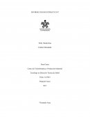 INFORME JUEGOS SUPERATE 2017