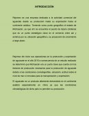 Negocios internacionales en México