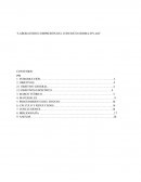 Laboratorio Compresiòn del concreto-norma INV-402