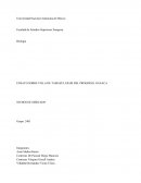 ENSAYO SOBRE VILLA DE TAMAZULAPAM DEL PROGRESO, OAXACA