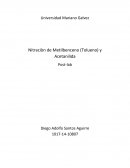 Sintesis de nitro tolueno