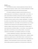 Definición Personal De Ergonomía.