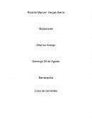 Cuestionario de Mutaciones