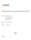 Análisis del macro entorno económico de PIL