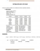 ESTIMACIÓN MCO GP3.RAW