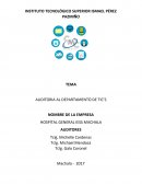 AUDITORIA AL DEPARTAMENTO DE TIC’S
