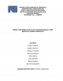 DISEÑO E IMPLEMENTACION DE UN CARGADOR MANUAL COMO MEDIDA DE AHORRO ENERGETICO