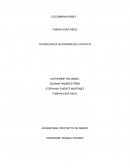 PROGRAMA ADMINISTRACIÓN DE EMPRESAS