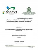 APOYOS ECONOMICOS A ESTUDIANTES PARA ASISTENTES DE INVESTIGADOR