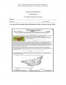 Convocatoria Feria del Libro