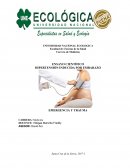 ENSAYO CIENTÍFICO HIPERTENSIÓN INDUCIDA POR EMBARAZO