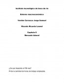 Capítulo 8 Mercado laboral