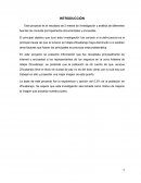 Algebra numeros reales y su introduccion