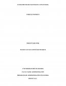 PROGRAMA DE ADMINISTRACIÓN FINANCIERA