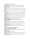 La organización y su estructura