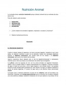 EL PROCESOS DIGESTIVO. PROCESO RESPIRATORIO