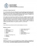LABORATORIO BIOQUÍMICA CELULAR (BQA145)