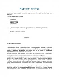 EL PROCESOS DIGESTIVO. PROCESO RESPIRATORIO. Página 1