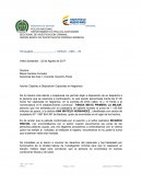 Formato Informe de Captura en Flagrancia