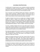 UNA SEMANA DESAPROVECHADA