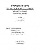TRABAJO PRÁCTICO N°2 PREPARACIÓN DE DNA PLASMÍDICO DE Escherichia Coli