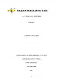 LA EVIDENCIA EN AUDITORIA