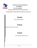 Reporte final del Servicio Social. Objetivos del servicio social