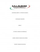 Actividad: Evidencia de aprendizaje, empresa Monitoreando S. A de C.V