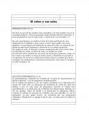 Ejem plo de el desarrollo de El cobre y sus sales