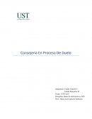 Consejeria En Proceso De Duelo