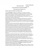 Teoría y problemas de las organizaciones públicas