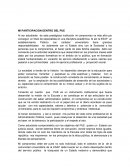 MI PARTICIPACION DENTRO DEL PUE